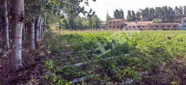 长治屯留区70亩建设用地使用权出租