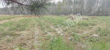 长治屯留区120亩一般耕地经营权出租