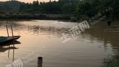 绵阳三台县56亩水产养殖用地经营权转让