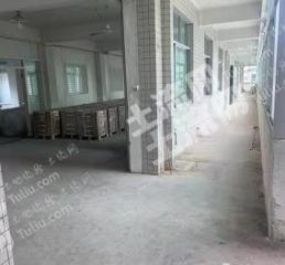 苏州苏州工业园区80000平米厂房使用权入股