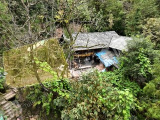 免租金！大邑海拔1100米山居地基使用權(quán)出租