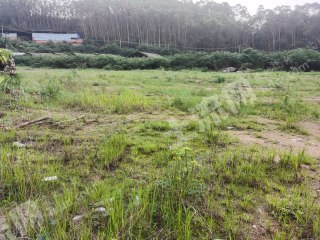 梅州梅县区 5000平方米 综合商业资产 使用权出租
