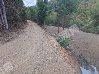 梅州五华县 8亩 综合养殖用地 出租