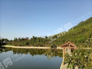 重庆80亩度假山庄使用权出租