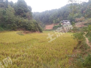 重庆巴南区160平米农家庭院使用权出租