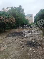 惠城区200平米宅基地使用权流转