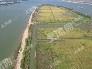 珠海金湾区370亩水浇地经营权出租