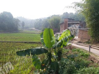 重庆巴南区150平米农家庭院使用权出租