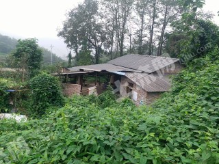 重庆巴南区100平米农家庭院使用权出租