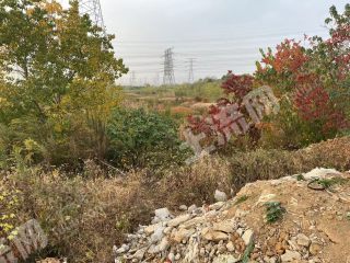 镇江丹徒区20亩其它林地经营权转让