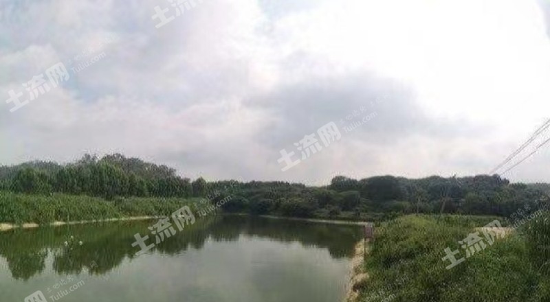 广州增城区 38亩 坑塘水面 经营权出租
