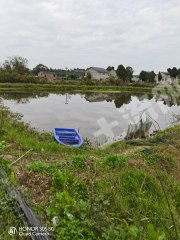 绵阳游仙区 30亩 坑塘水面 经营权转让