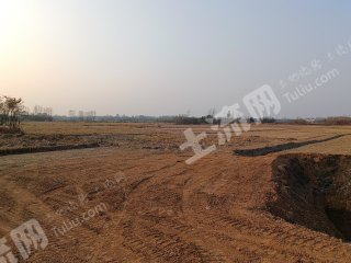 信阳商城县 400亩 其它林地 经营权出租