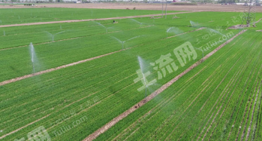潍坊昌邑市6000亩水浇地经营权出租
