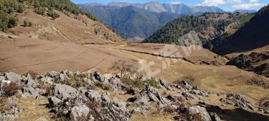 凉山西昌市 3500亩 荒地 使用权出租