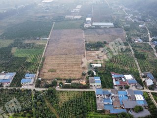 成都蒲江县68亩果园经营权转让