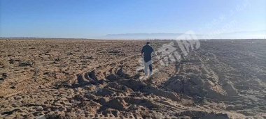 张掖高台县3000亩水浇地经营权出租