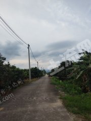 惠东县九龙峰600平米宅基地使用权流转