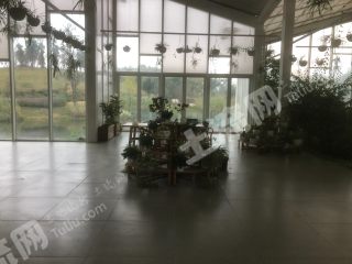 金堂縣淮州新城 公園內(nèi)旺鋪 招商