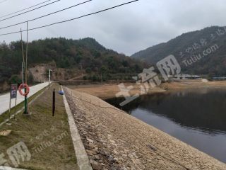 宁乡市花明楼镇80亩水库，露营地经营权合作开发
