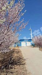 沈阳法库县61亩其它林地经营权转让