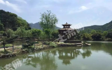 金华义乌市 50亩 其它园地 经营权合作