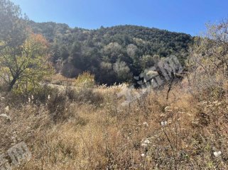 长治黎城县108亩旱地经营权出租