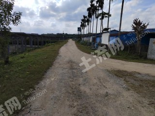 海南屯昌县 500亩 综合养殖用地 经营权转让