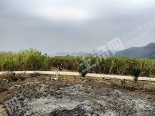 崇左  龙州县 4000亩 旱地经营权 出租