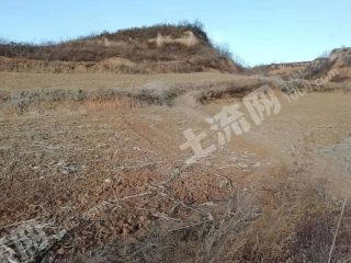 长治屯留区40亩旱地经营权出租