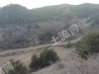 长治屯留区3000亩荒山使用权出租