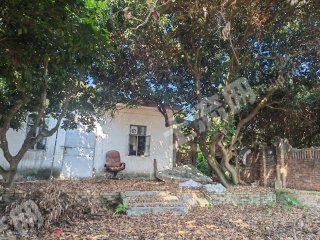 惠东九龙峰1.5亩果园带房使用权出租