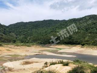 三亚海棠区200亩林地经营权转让