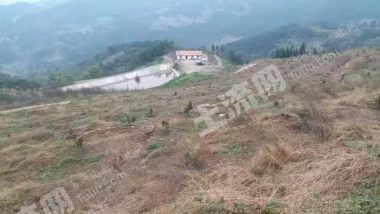 重庆垫江600亩农场经营权转让