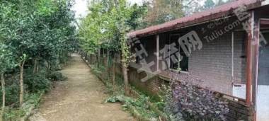 南昌安义县86671平米农家庭院使用权出租