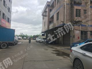 广东中山 0.20亩 农村宅基地 使用权流转