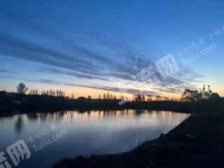 沈阳辽中区 40亩 水库水面 经营权出租