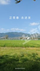 海南陵水縣黎黎安鎮(zhèn)黎安村宅基地使用權(quán)出租