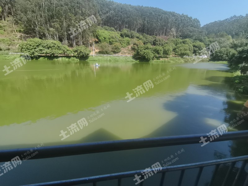 惠东近深20亩河边鱼塘带房经营权出租
