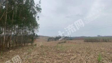 崇左江州区200亩荒地出租