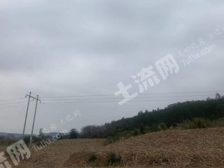 崇左江州区100亩荒地出租