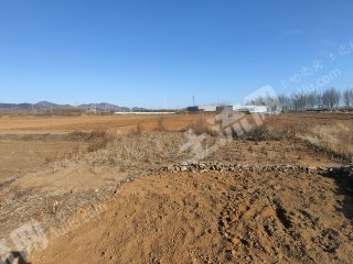 天津蓟州区130亩水浇地经营权出租