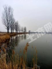 开封兰考县600亩水产养殖用地经营权出租XX1704