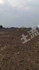 嘉兴海宁市6亩水浇地经营权出租（可种植苗木，盆景）