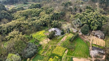 大邑低矮丘陵农房使用权低价出租