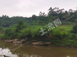 重庆200亩整治耕地经营权出租