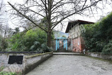 大邑海拔千米吸氧古色古香山居使用權(quán)出租