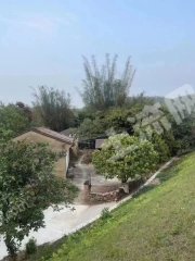 惠州惠城区400平米农家庭院使用权流转