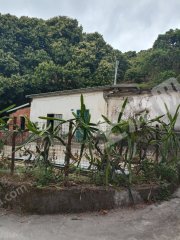 近深瓦房带院子使用权出租