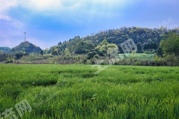 崇州道明丘陵田園位置獨立菜園樹林小樓使用權(quán)出租